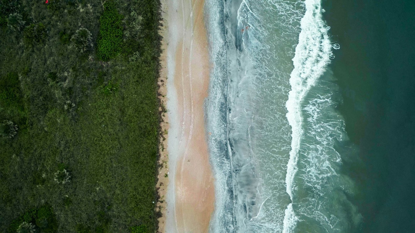 Florida coastline seen from the air on a training flight